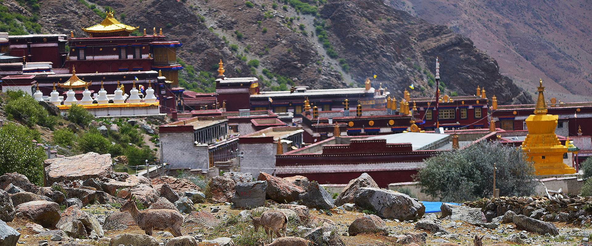 Tsurpu Monastery