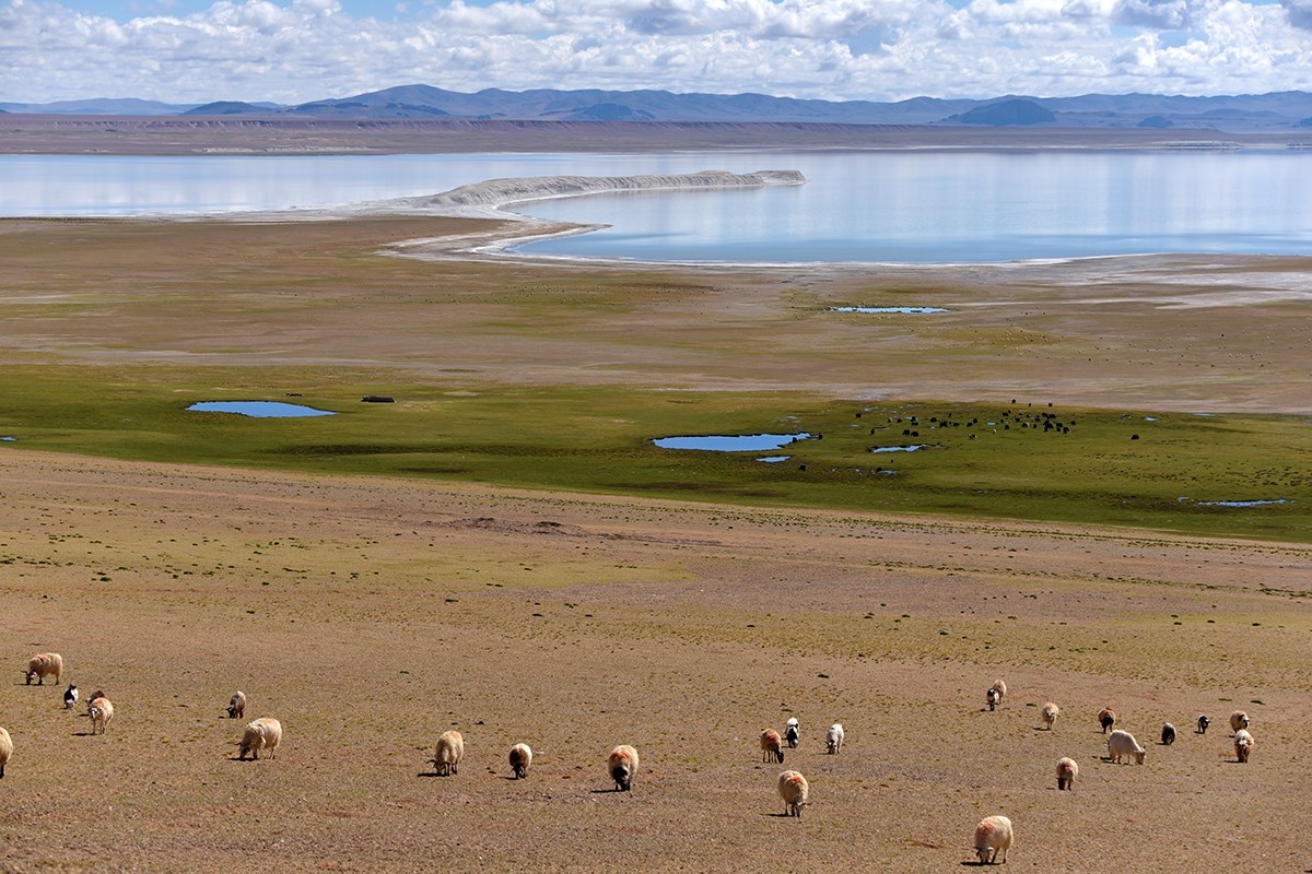 Qiangtang National Nature Reserve