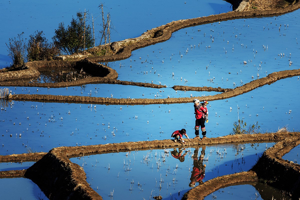 Yuanyang Terrace | Photo by Min Zhao