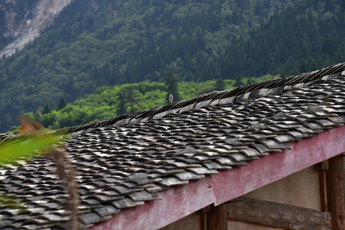 Tibetan Haus | Photo by  Liu Bin